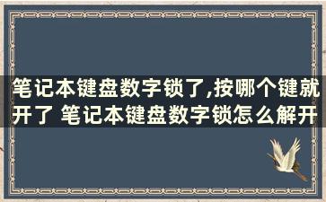 笔记本键盘数字锁了,按哪个键就开了 笔记本键盘数字锁怎么解开